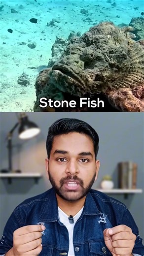 Older Than Humans! Hiding in Plain Sight is the World’s Deadliest Venom! 🗿☠️