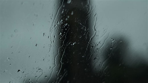 Get Your Copy | Inscape