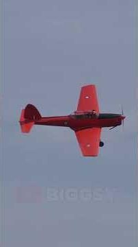 The Royal Chipmunk • Shuttleworth - Wings & Wheels Air Show