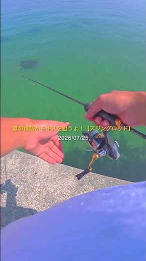 夏の堤防からアジングロッドで楽しむキス釣り‼️【淡路島釣り】