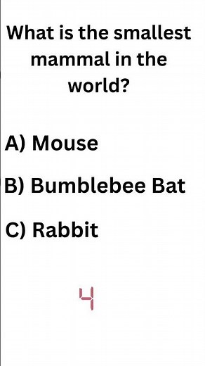 Smallest Mammal in the World #quiz