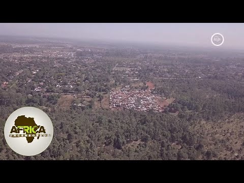 Deforestation: 48 Years of Kenya's Unspoken Disaster