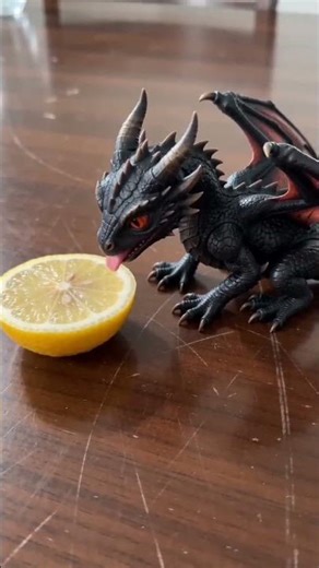My little dragon said that this lemon is too sour today! #funny #dragon #pets、#shorts