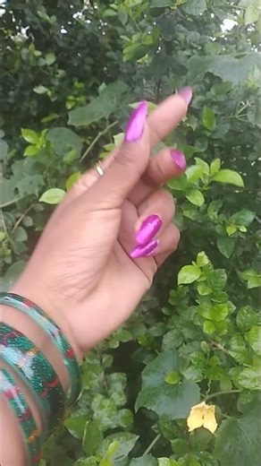 Pyar Ka Sauda#hindisong #dance #shortvideo