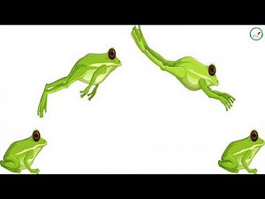 Course - Sixth grade - SVT: movement in animals: adaptations to different environments / S1