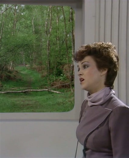 Doctor Who Classics: Die Heimsuchung (1982) #doctorwho #drwho #doctorwhodeutsch #germandoctorwho #teganjovanka #janetfielding #peterdavison #fifthdoctor #fünfterdoktor #adric #matthewwaterhouse #classicdoctorwho #doctorwhoclassics