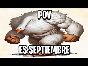 Shitposting Compilation V71