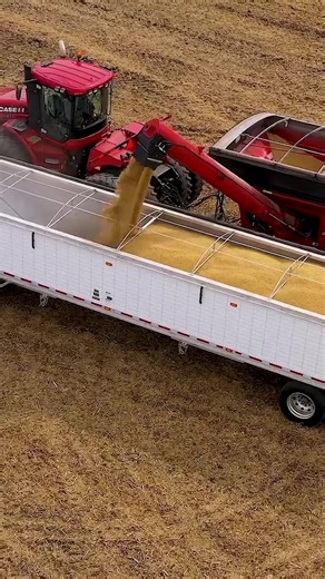 Maximize Your Yield with Precision Planting Techniques