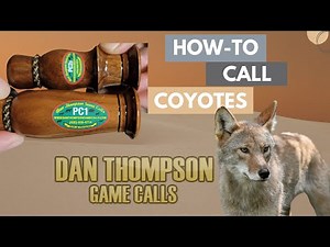 How To Call a Coyote with a Dan Thompson Call