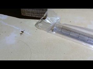 Measuring the Size of a Tiny Flying Insect (Gnat/Fly)