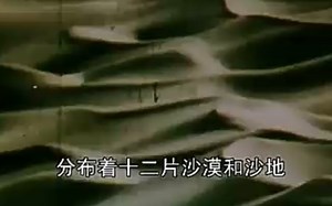 横跨十三个省区市的“守护者”——“三北”防护林工程