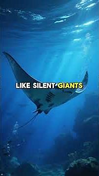 Animals of the Indian Ocean: Secrets of the Warm Waters