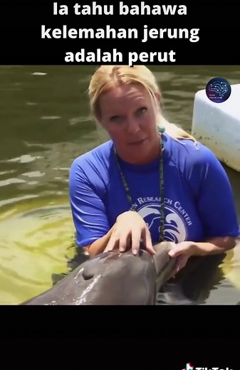 Pertarungan Ikan Jerung dan Ikan Lumba-lumba: Kekuatan dan Kebijaksanaan