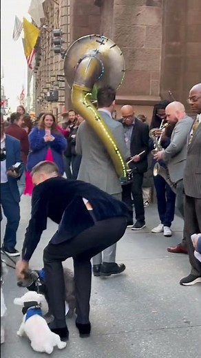 Don Lemon & Tim Malone Wedding on Fifth Ave!