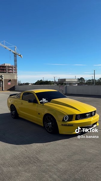 🫂🫂#fyp #mustang #s197 #3v #ford #mustanggt #mustanggt