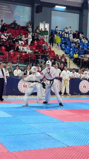 Kabylan Sagyndyk: Kyokushin Karate at WKB European Championships | May 2024