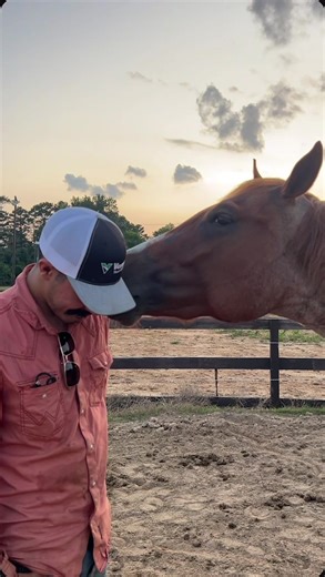 Man's Incredible Horse Riding Transformation