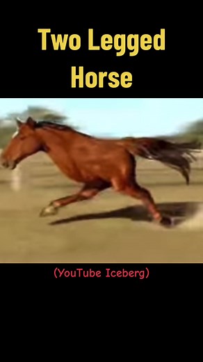Two Legged Horse - Weird Running Horse Meme