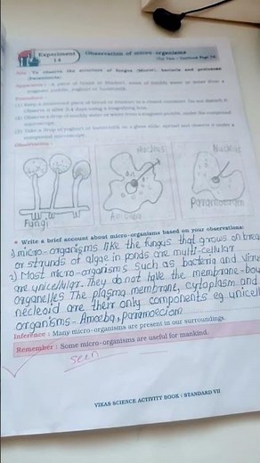 13 to 18 experiment science activity book standard 7th like and subscribe my channel 🙏🏻🙏🏻👍🏻👍🏻