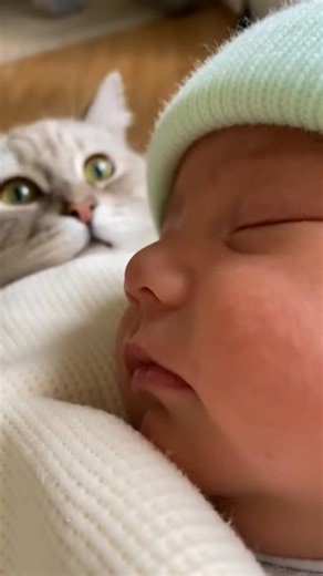 Cat's Unexpected Reaction to Baby's Nose 😹