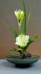 Flower arrangement #ikebana | Ikebana Flowers