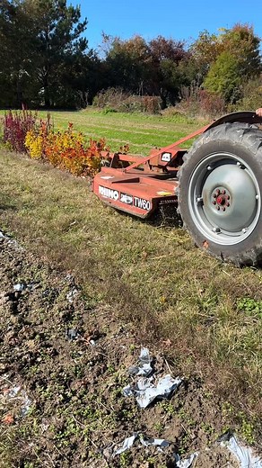 Succession planting requires tough love. Clearing the way for overwintering cover crop. If you don’t remove on time you can’t plant on time. Once you implement this lesson you can succession plant in any size garden! Let the BIG Calendar-Journal guide you! Preorder now for the BONUS: Live Worksop walking through the 9 planting windows! Comment CALENDAR or head to TheGardenersWorksop.com to PREORDER NOW! #gardenersworkshopfarm | The Gardener's Workshop