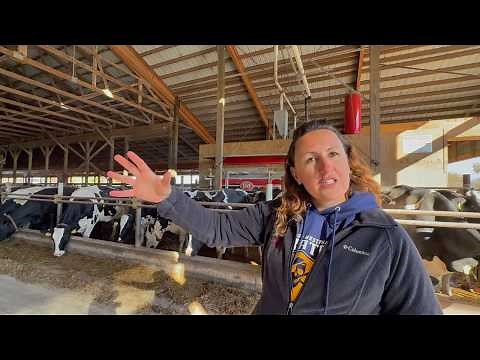220 COWS MILKED WITH ROBOTS AT K&K DAIRY FARM - MICHIGAN, USA 🇺🇸