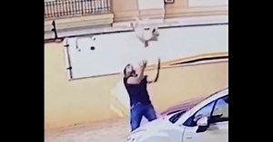 Camera catches the heroic moment a man rescues a dog falling 9 stories from balcony