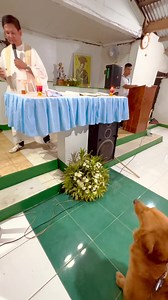 Happy feast day, St. Roch!! Patron saint of dogs. Thank you father for the blessing.🐾👏🏻 St. Roch Prayer for Dogs🙇🏻‍♀️ O Blessed saint Roch, patron saint of dogs, I ask you to pour out your love upon my dog. May my sweet dog always be loving and loyal and be a joy to me and those I love. Carry my dog to the throne of the Father and ask Him to bless my dog with long life and great happiness. Pray dear saint that my dog stay free from illness and that my dog always comforts me as your beloved 
