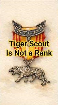 037 Tiger Scout Is Not a Rank