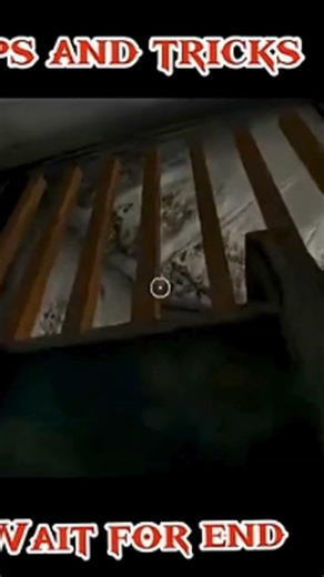 Granny Cannot Climb😂🤣😅