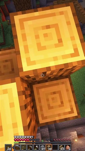 what's with the lawnmower?