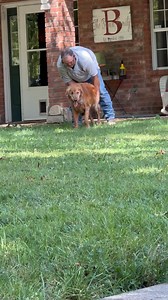 My husband helped G-bro to have a little pool time tonight🥰 His hips have failed him so we are just doing all we can with meds and cbd to keep him as comfortable as possible🥰 Thanks for all the love, support and prayers for him🥰 #trails #hiking #Cats #Dogs #HikingWithCats #ASMR #Animals #GoldenRetrievers #HikingWithDogs #deer #Nature | Brown Hiking Trails