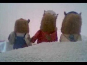 Beastie Boys parody "Squirrels" by the Beastly Boys