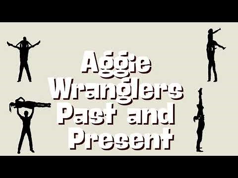 2024 Jitterbug Video