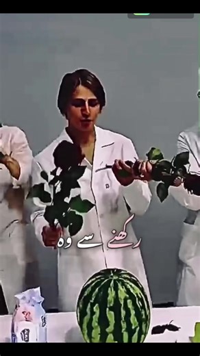 Engaging Story Challenges for Creators