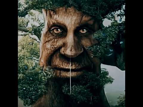 One Hour Wise Mystical Tree Slowed With Rain Visual Effect and Reverb