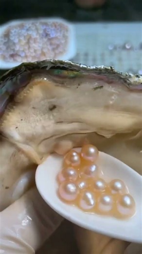 The Moment We've Been Waiting For: Pearls!
