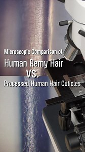 Remy Hair vs. Processed Human Hair？What Stylists Need to Know！ Ever wonder what truly sets Remy hair apart? The answer is in the cuticle. Let’s take a closer look--- a microscopic comparison of Human Remy Hair vs. Processed Human Hair cuticles. Human Remy Hair ✅Outer cuticle layer intact, neatly aligned like shingles on a roof ✅Stronger, denser layers (Mongolian hair = 10 cuticle layers, European = 6–8) ✅Natural shine, softness, and movement preserved ✅Longer-lasting--- less dryness, more resili