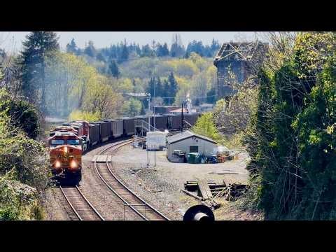 BNSF loaded coal train passing 57th St. near Ballard Bridge #6.3 #bnsf #coal #train #railfan #art