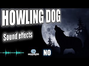 Dog howl sounds, dog sounds, dogs howling sound effect without copyright