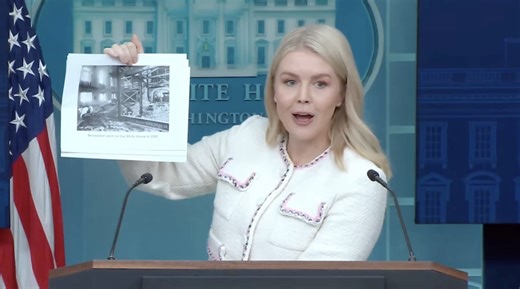 'What do you think that rubble is?': Karoline Leavitt throws tantrum, lectures reporter for questioning Trump's demolition of the East Wing