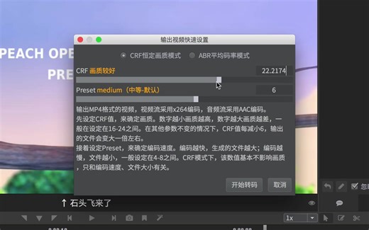 Arctime字幕制作软件官方教程：制作双语字幕流程详解