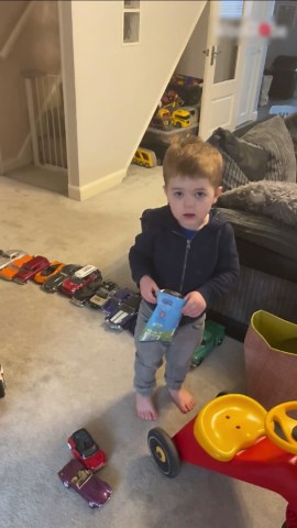 Smart Toddler Climbs Over Child Safety Gate on Stairs