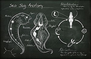 Sciencing the Shit Out of BioShock Plasmids