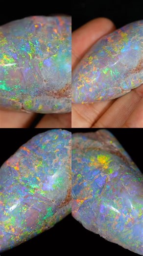 This opalized shell fossil is a rare glimpse into prehistoric oceans , now polished to reveal its stunning natural fire ,check this out in my store sedaopals.opalauctions.com 1000 usd less 10% discount #FossilFinds #OpalShell #CrystalTok #sedaopals #opalauctions #fyp #goviral #viralvideo | Seda Opals
