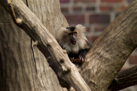 Tierpflegerin aus dem Zoo Dortmund gibt Einblicke hinter die Kulissen