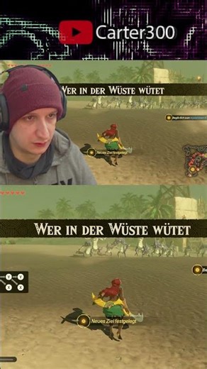 Hyrule Warriors - Kampf mit Ardi #hwaoi