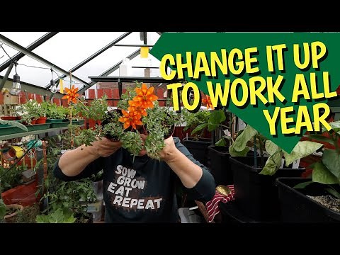 Setting up the new greenhouse: making the most of your space