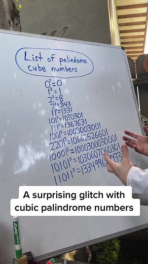 The Mystery of Palindromes in Base Ten: A Mathematical Puzzle